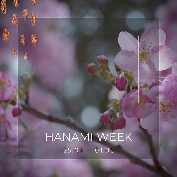 Hanami Week im WACA Restaurant in der Motorworld in München
